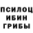 Галлюциногенные грибы GOLDEN TEACHER inn ku