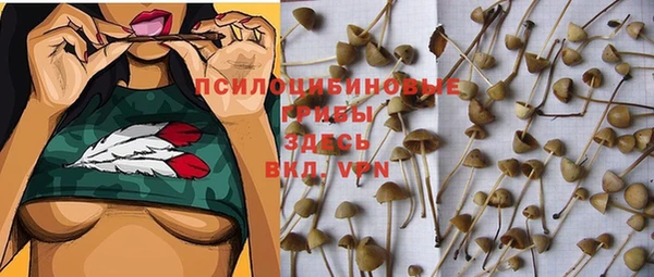 ECSTASY Арсеньев