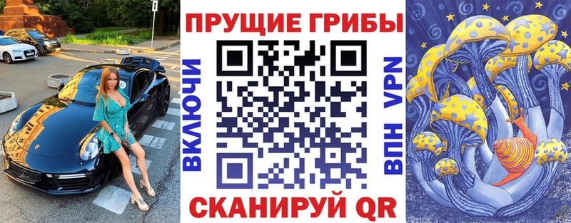 Псилоцибиновые грибы MAGIC MUSHROOMS  Купить где  Железногорск 